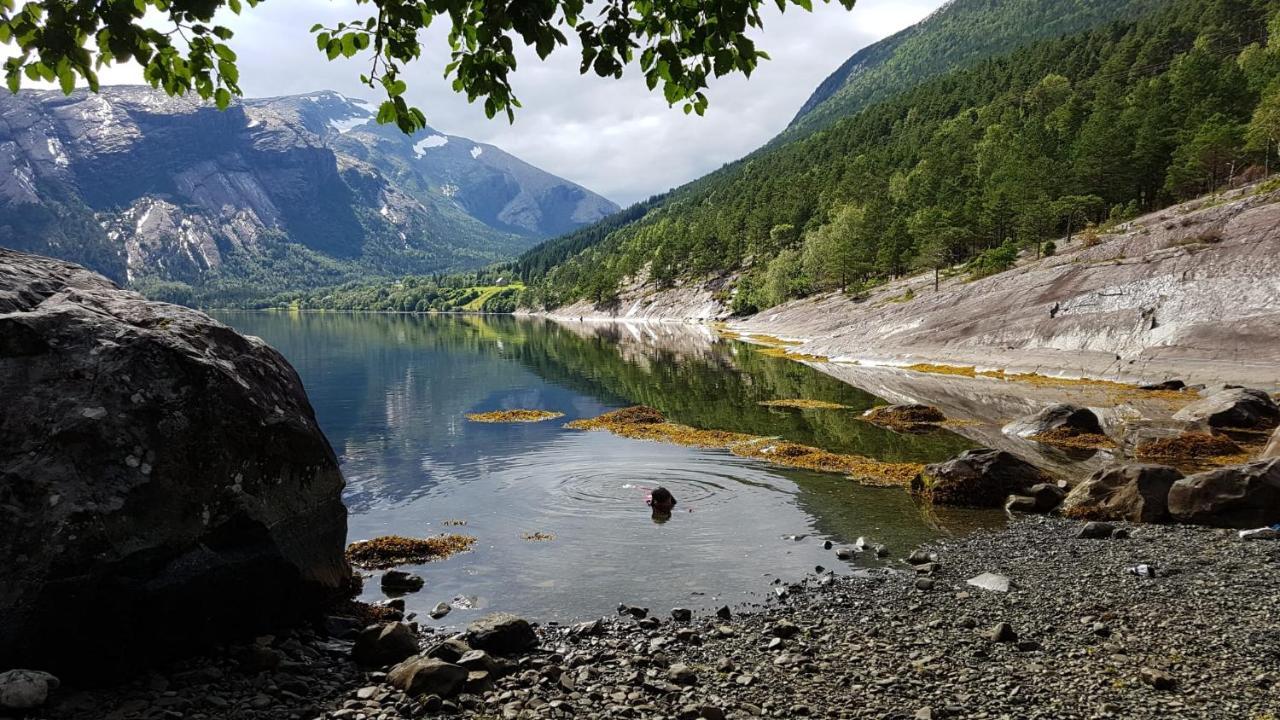 Between Fjord Og Glacier Alfoten Bagian luar foto